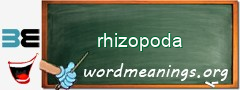 WordMeaning blackboard for rhizopoda